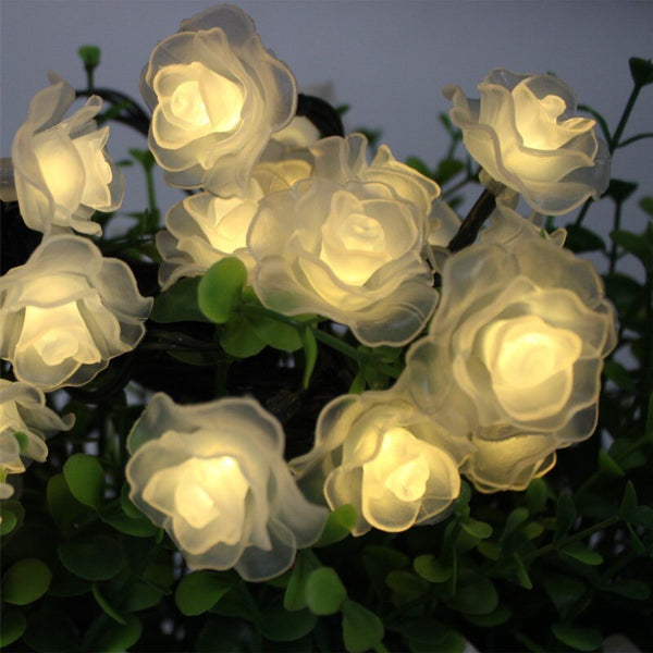 Deluxe Rose Flower LED String Lights