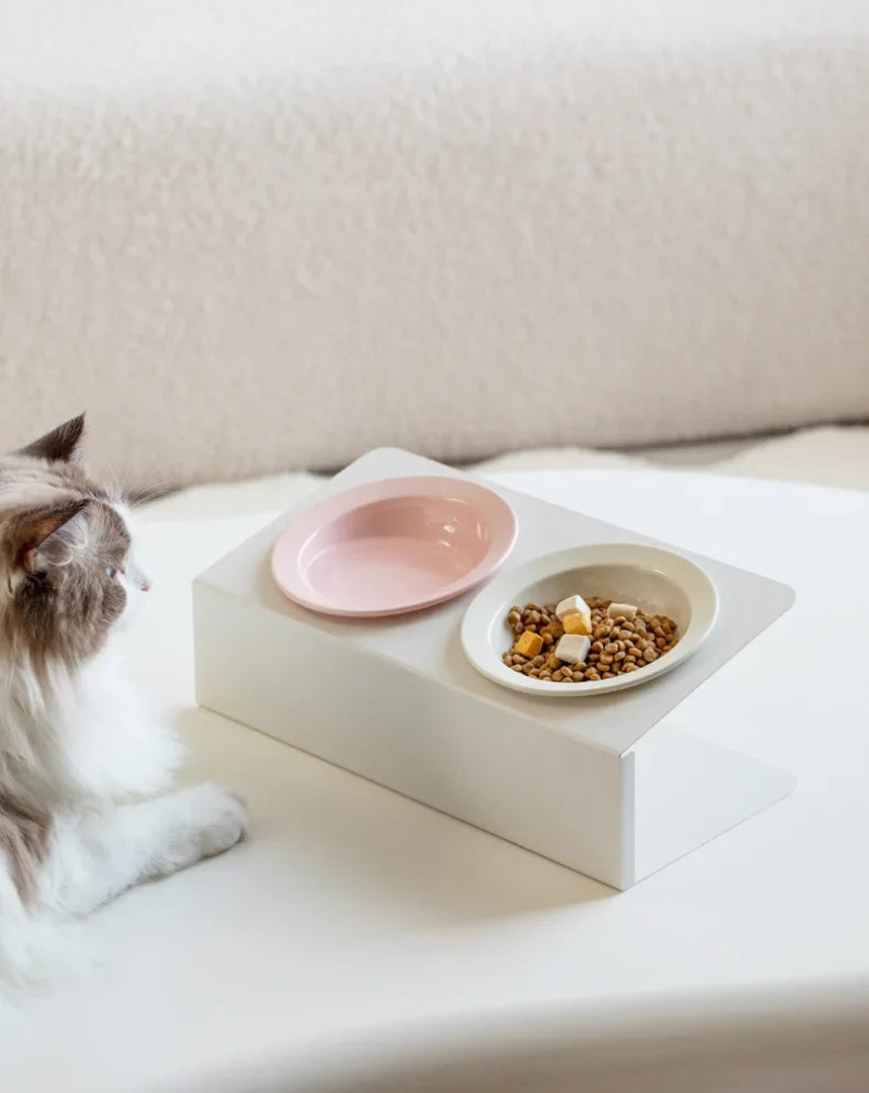 Elevated Raised Food Water Bowls