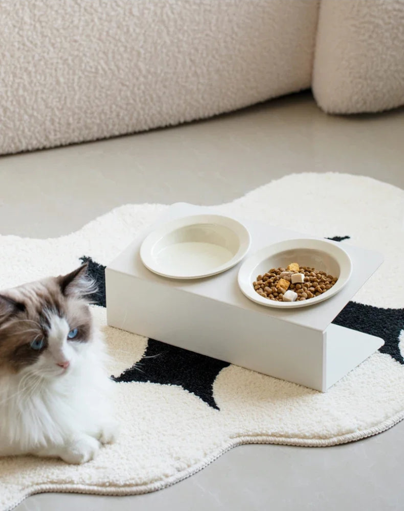 Elevated Raised Food Water Bowls