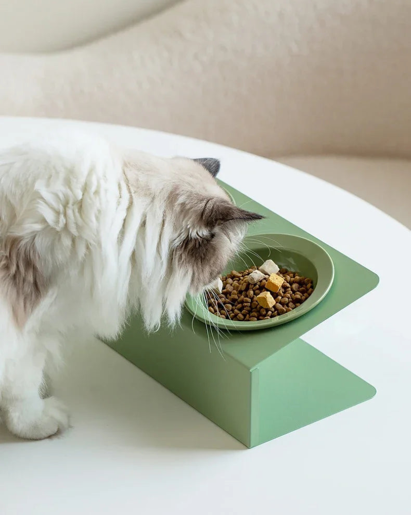 Elevated Raised Food Water Bowls