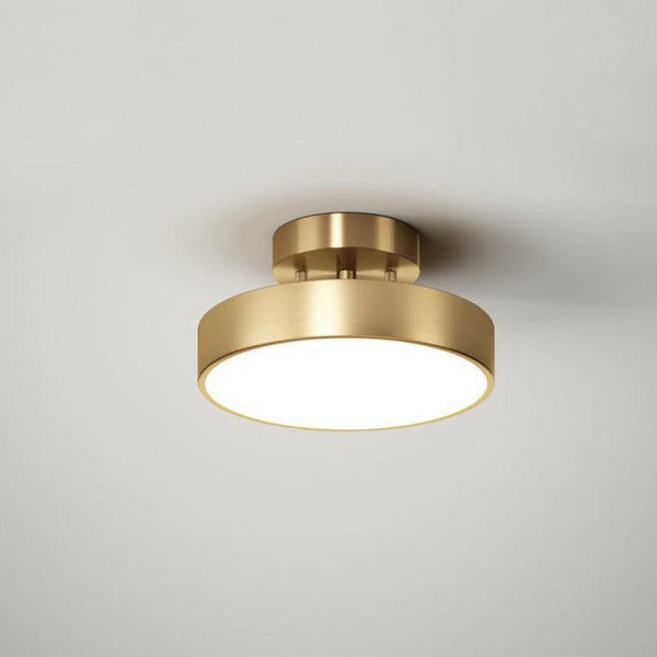 Hero Spotlight Rotating Ceiling Lamp