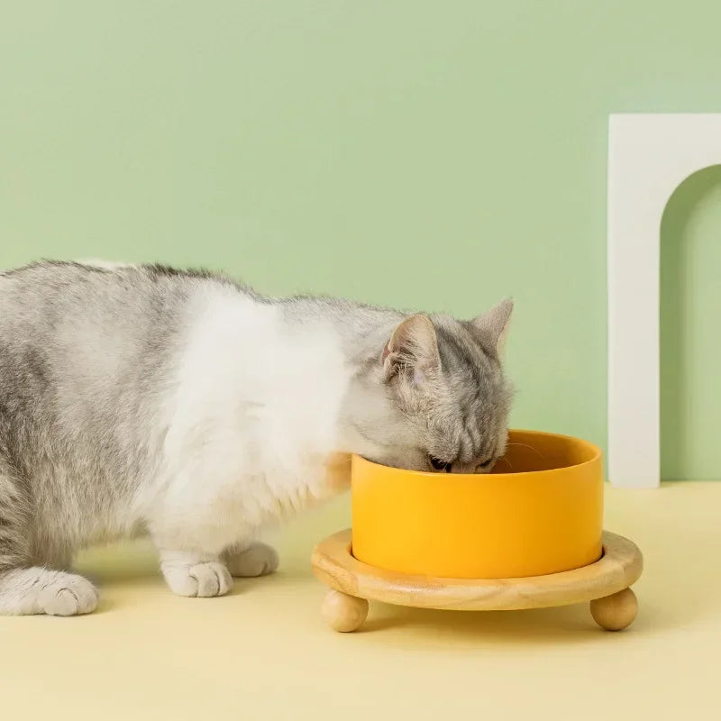 pet feeding bowl ceramic bowls with elevated wooden stand large capacity