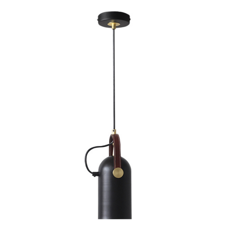 Modern Spotlight pendant with brass details