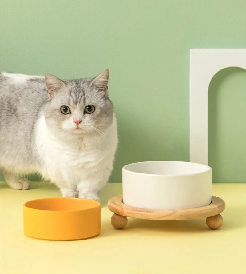 pet feeding bowl ceramic bowls with elevated wooden stand large capacity