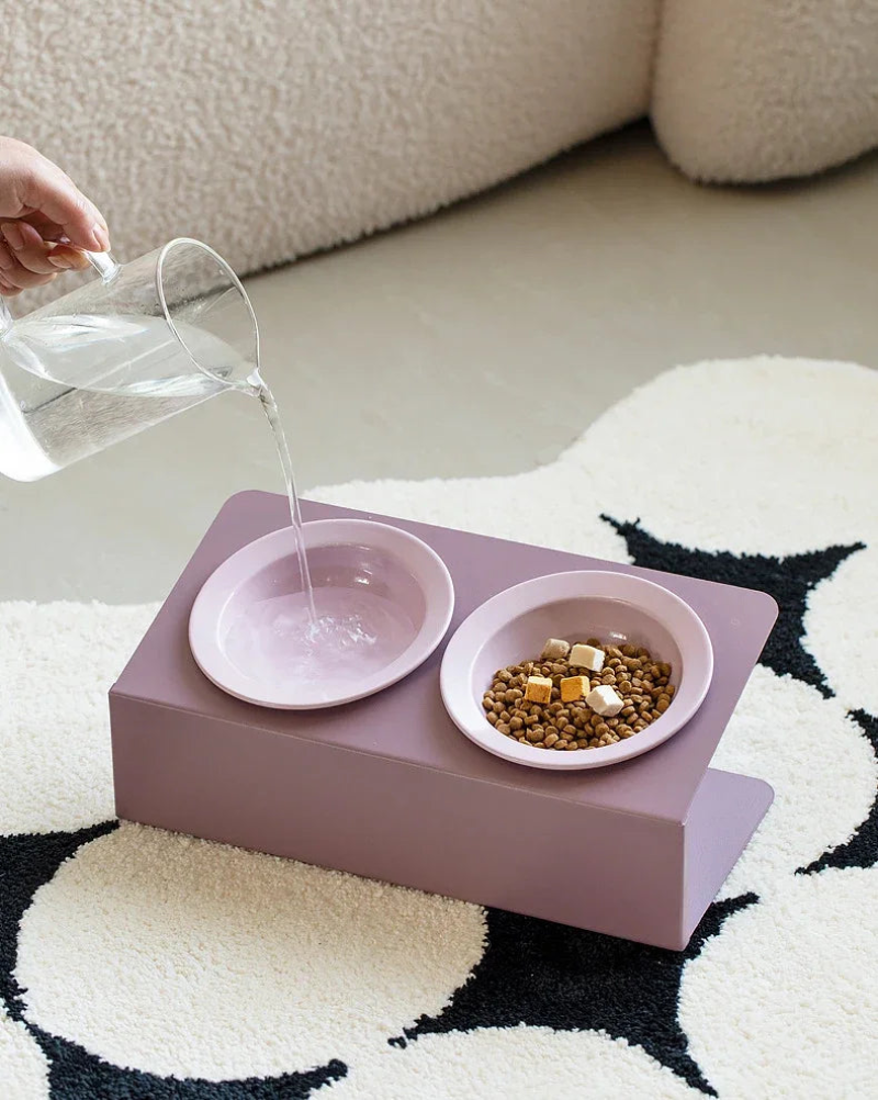 Elevated Raised Food Water Bowls