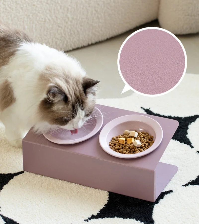 Elevated Raised Food Water Bowls