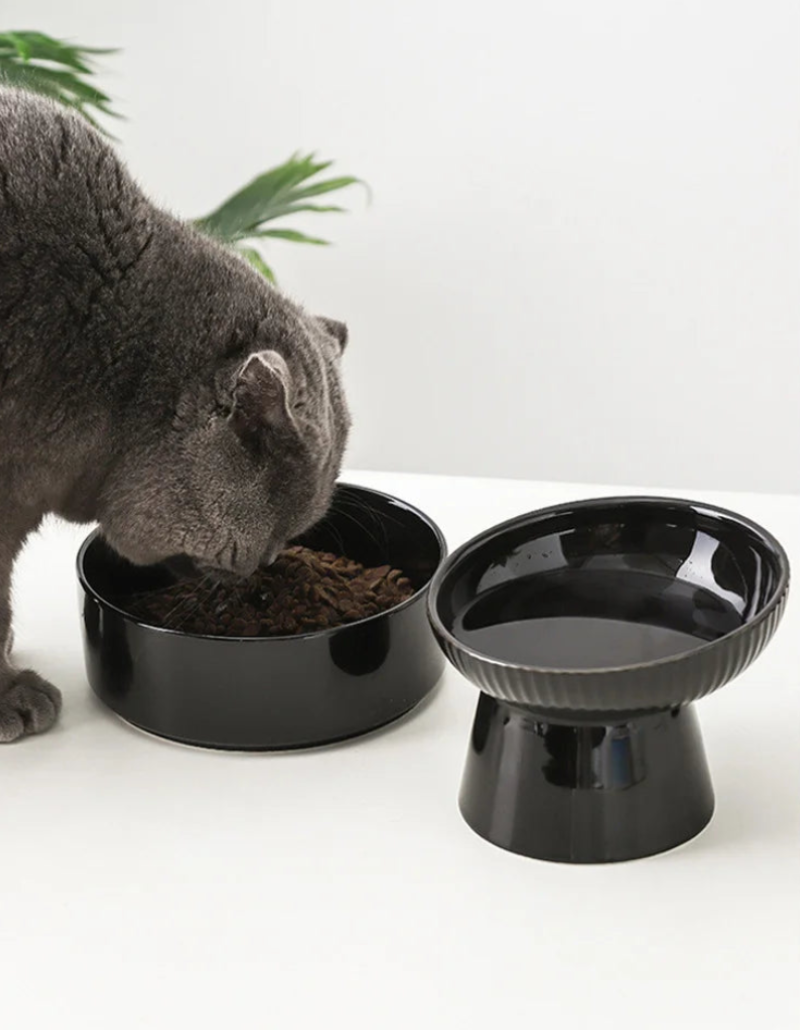 black ceramic elevated pet feeding bowl