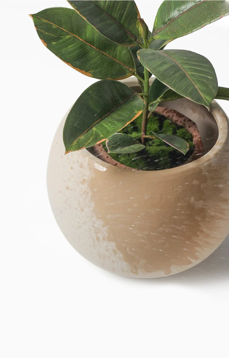 Flowerpot Fired Ceramic