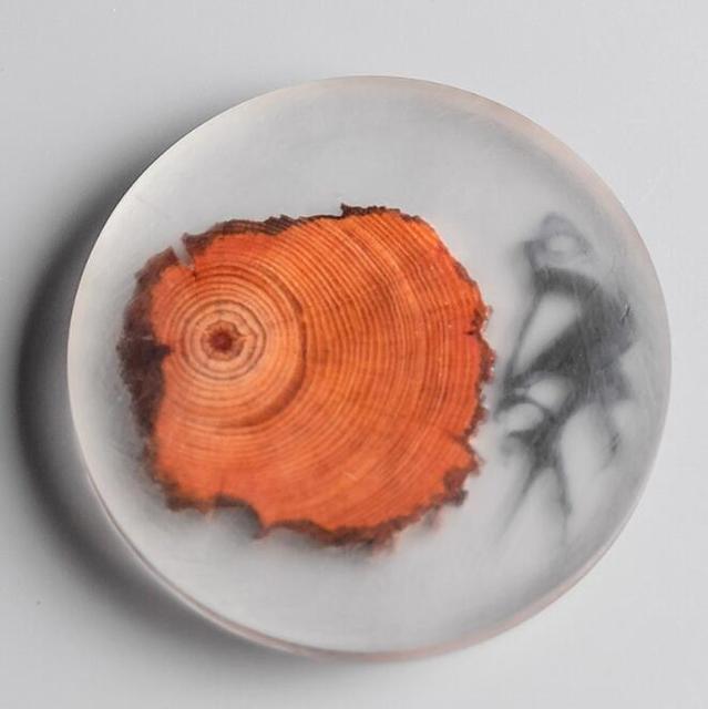 Round Transparent Encased Pine Smooth Coaster