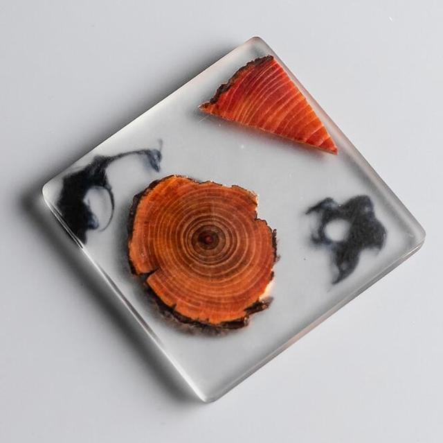 Square Transparent Encased Pine Smooth Coaster