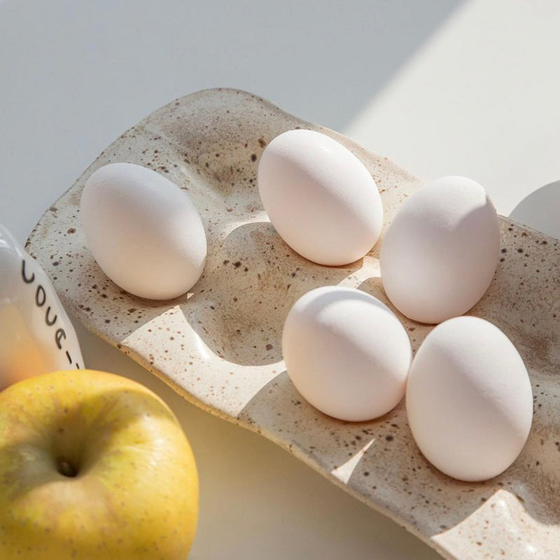 Decoratice Accents Tray Eggs for Storage Box Kitchen Tray