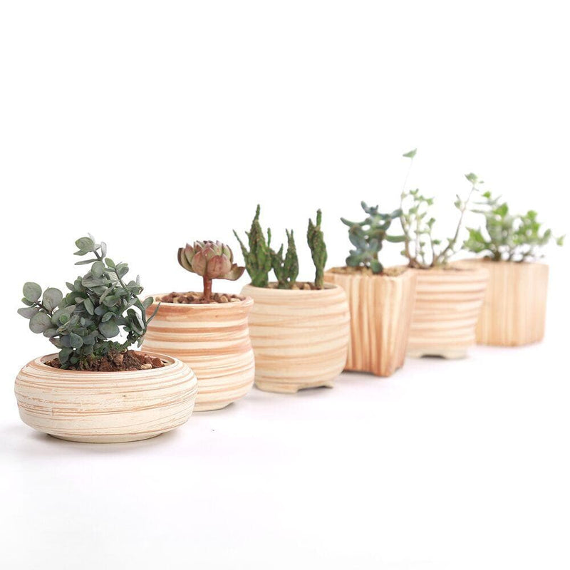 Wood Ceramic Planter Set 6 pc nursery pot