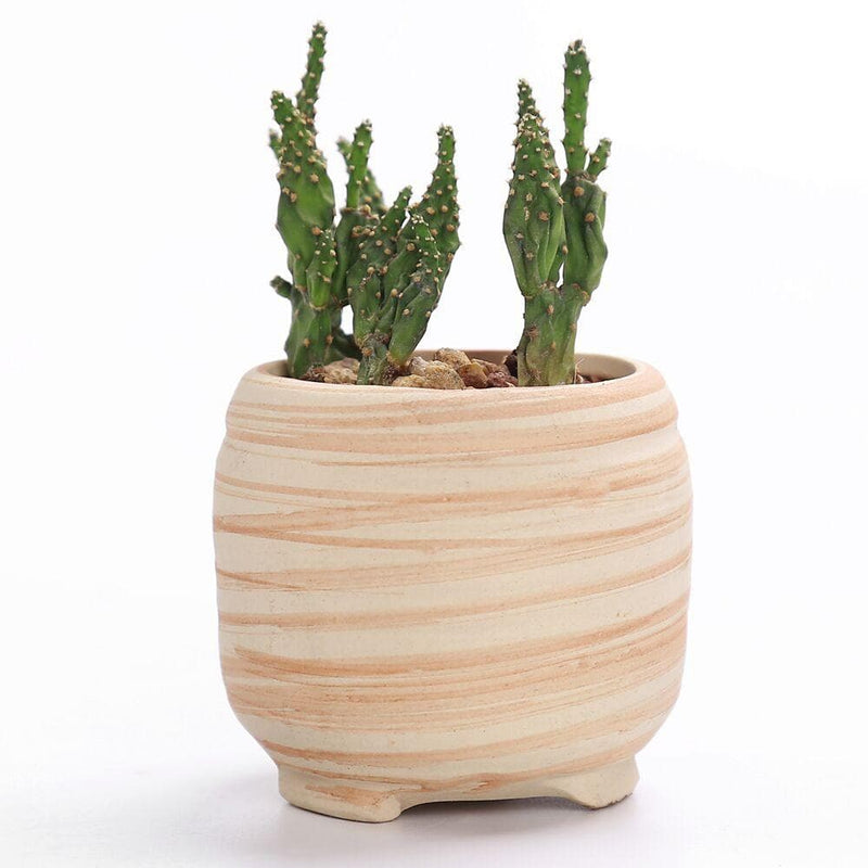 Wood Ceramic Planter Set 6 pc nursery pot