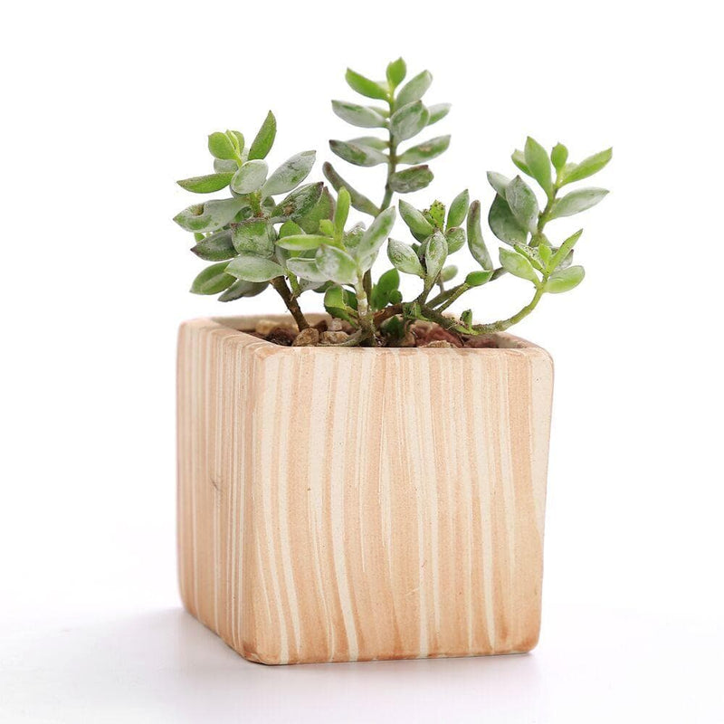 Wood Ceramic Planter Set 6 pc nursery pot