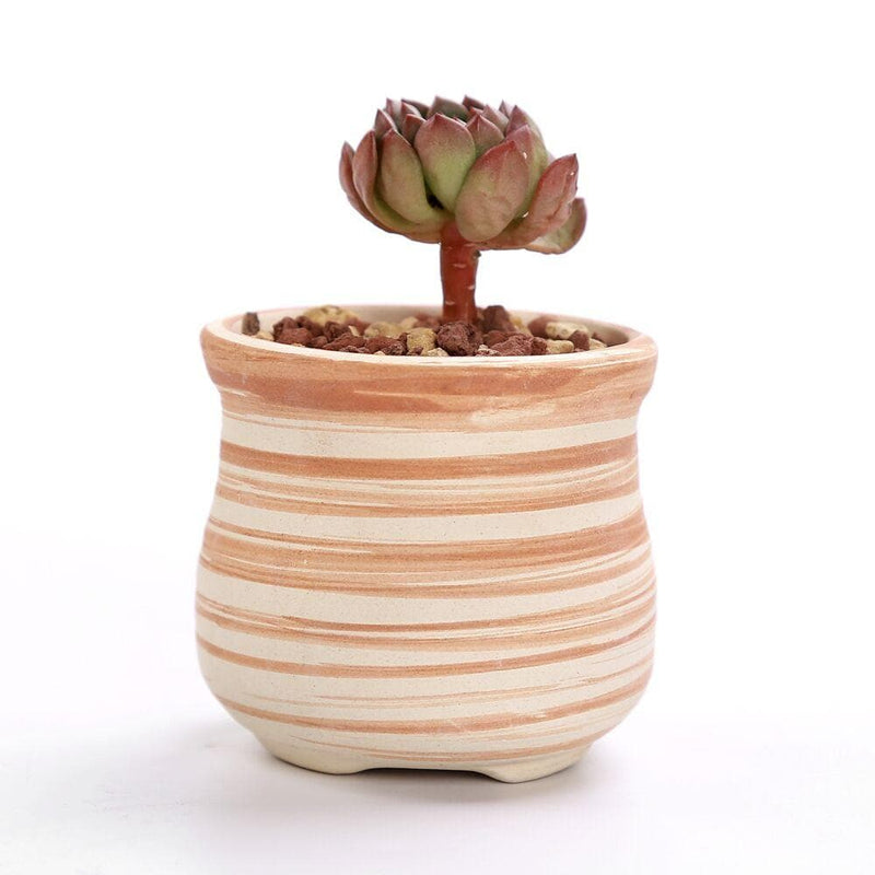 Wood Ceramic Planter Set 6 pc nursery pot