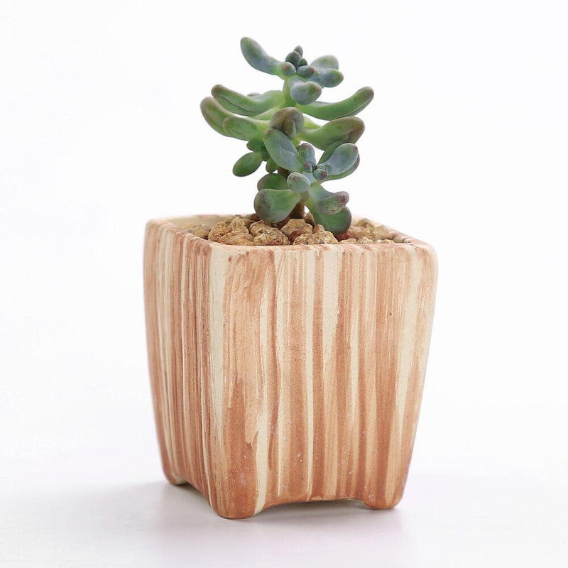 Wood Ceramic Planter Set 6 pc nursery pot