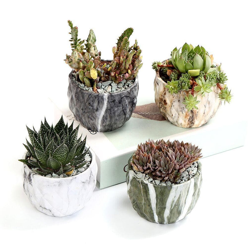 Modern Marbling Flower Pot Succulent pot Cactus Planter Pots Container Bonsai Planters with Hole 3.35Inch Perfect Gift Idea