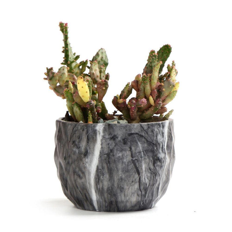 Modern Marbling Flower Pot Succulent pot Cactus Planter Pots Container Bonsai Planters with Hole 3.35Inch Perfect Gift Idea