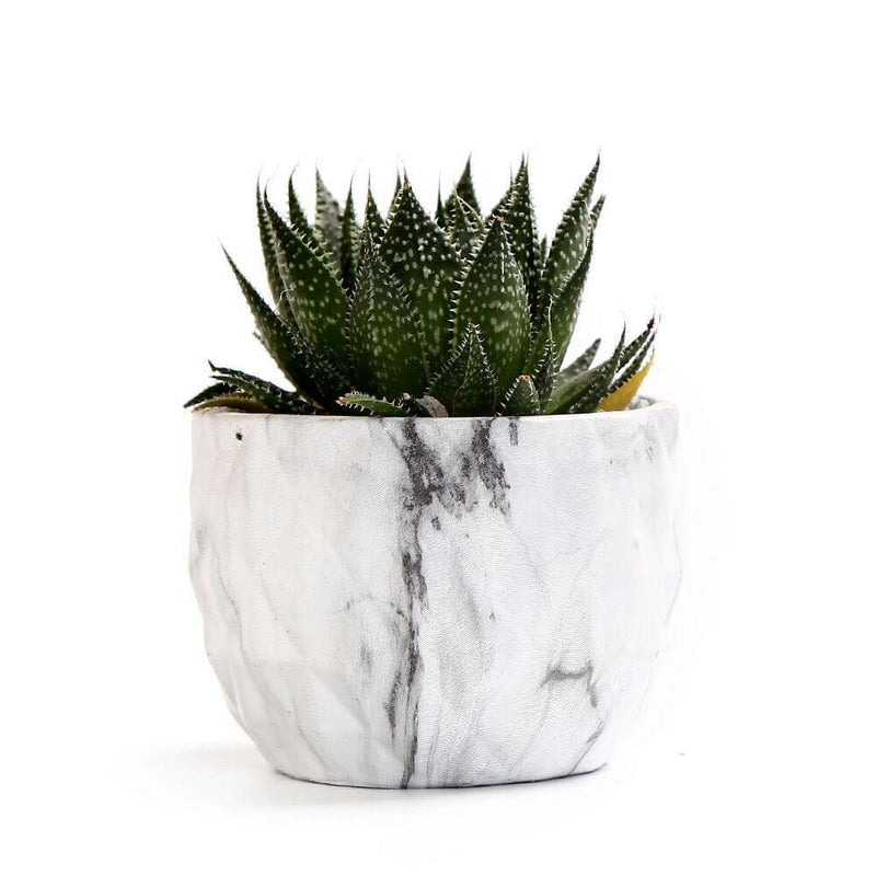 Modern Marbling Flower Pot Succulent pot Cactus Planter Pots Container Bonsai Planters with Hole 3.35Inch Perfect Gift Idea