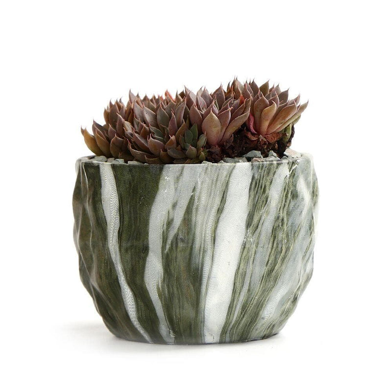 Modern Marbling Flower Pot Succulent pot Cactus Planter Pots Container Bonsai Planters with Hole 3.35Inch Perfect Gift Idea