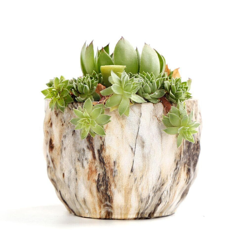 Modern Marbling Flower Pot Succulent pot Cactus Planter Pots Container Bonsai Planters with Hole 3.35Inch Perfect Gift Idea